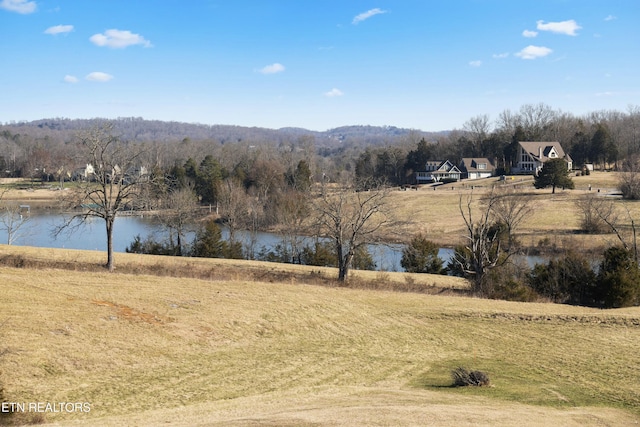 property view of water featuring a view of trees