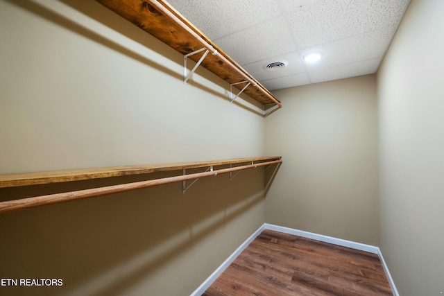 walk in closet featuring visible vents, a paneled ceiling, and dark wood-type flooring