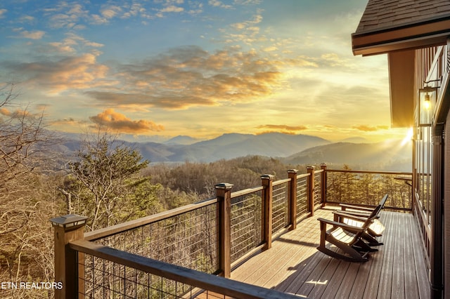 3118 Smoky Bluff Trl, Sevierville, TN 37862 - photo 53