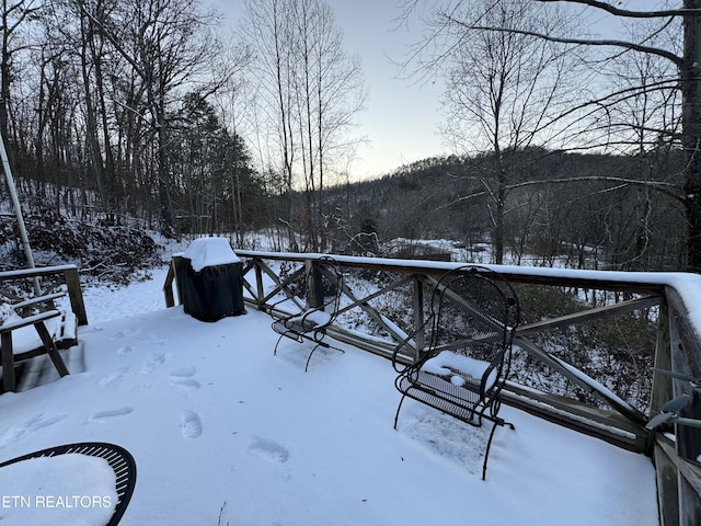 view of snowy yard