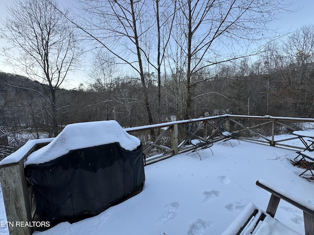 view of yard covered in snow