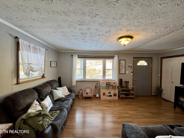 living room featuring hardwood / wood-style flooring, crown molding, and a textured ceiling