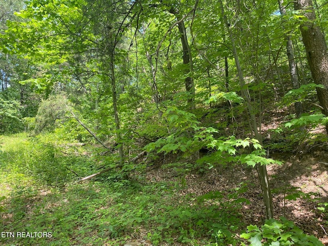 Listing photo 3 for LOT31 High St, Sevierville TN 37876