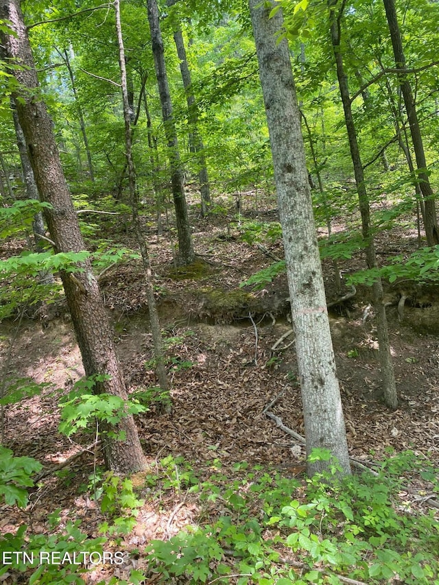 LOT31 High St, Sevierville TN, 37876 land for sale