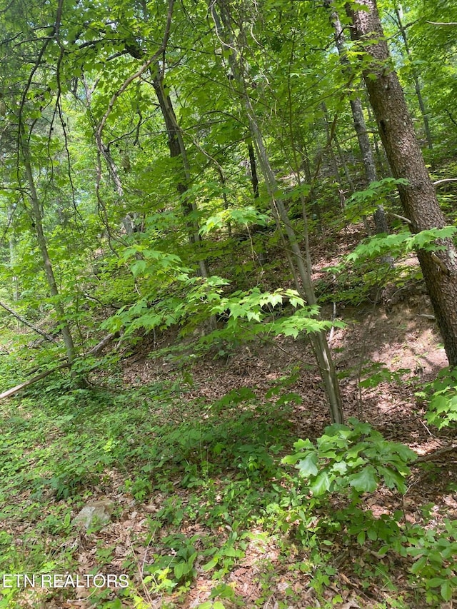 Listing photo 2 for LOT31 High St, Sevierville TN 37876