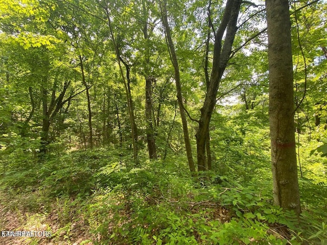 LOT61 High St, Sevierville TN, 37876 land for sale