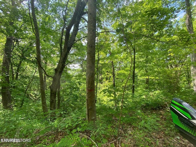 Listing photo 2 for LOT61 High St, Sevierville TN 37876