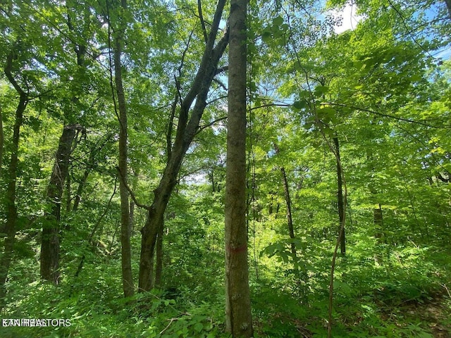 Listing photo 3 for LOT61 High St, Sevierville TN 37876