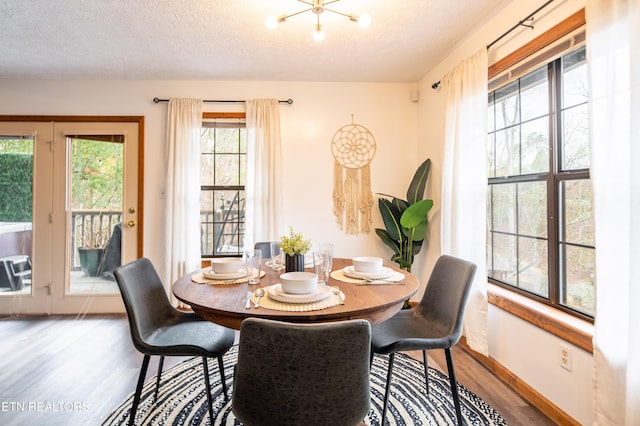 dining room featuring a healthy amount of sunlight, hardwood / wood-style floors, and a textured ceiling