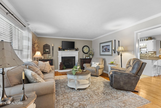 living room featuring light hardwood / wood-style floors and crown molding