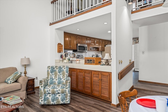 kitchen featuring stainless steel appliances, a towering ceiling, and dark wood-type flooring