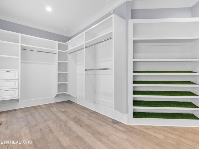 walk in closet featuring light hardwood / wood-style floors