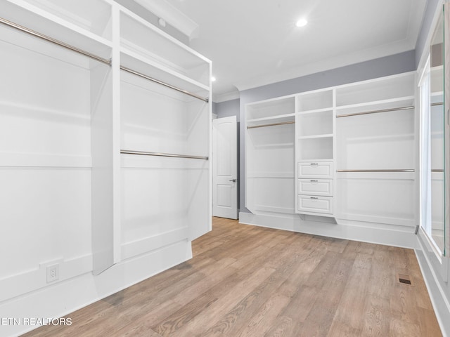 spacious closet with light wood-type flooring