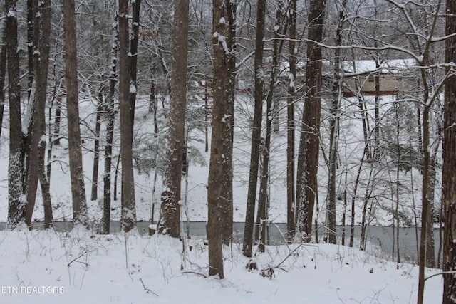 view of snowy landscape