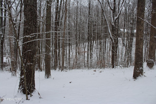 view of snowy landscape