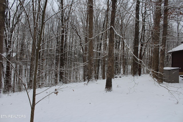 view of snowy view