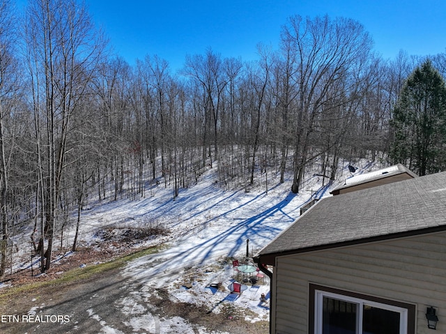 view of snowy yard