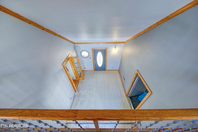 entrance foyer with ornamental molding and carpet flooring