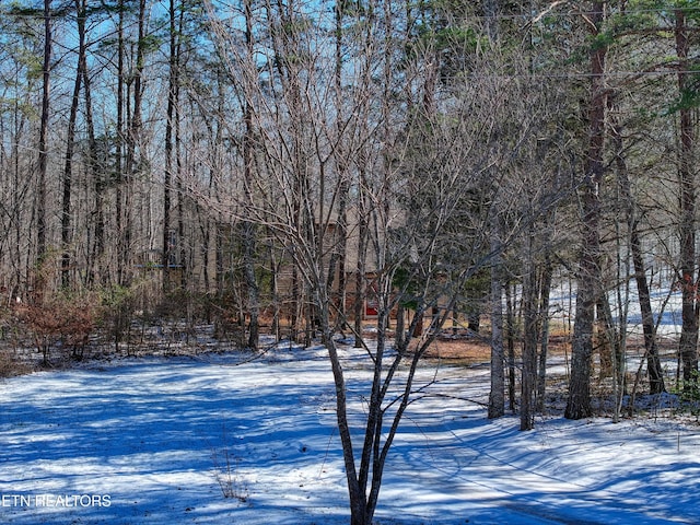 view of snowy yard