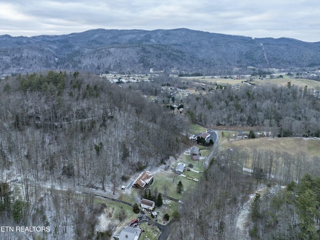 birds eye view of property featuring a mountain view