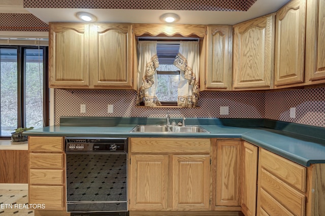 kitchen with sink and dishwasher