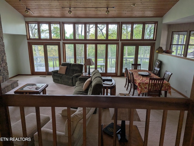 124 Sugarbush Cir, Crossville, TN 38558 - living area with carpet floors, rail lighting, baseboards, and wood ceiling