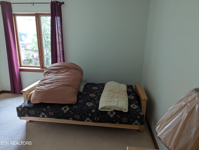 124 Sugarbush Cir, Crossville, TN 38558 - bedroom with carpet