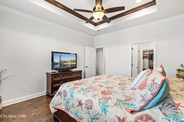 bedroom featuring ceiling fan, ornamental molding, a spacious closet, and a raised ceiling