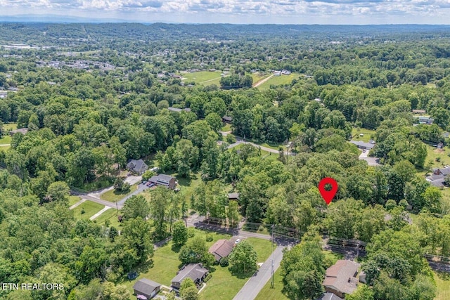8305 Sharp Rd, Powell, TN 37849 - bird's eye view of a forest