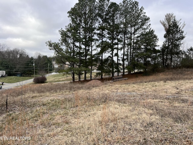 Listing photo 3 for 2706 Indian Ridge Rd, Johnson City TN 37604