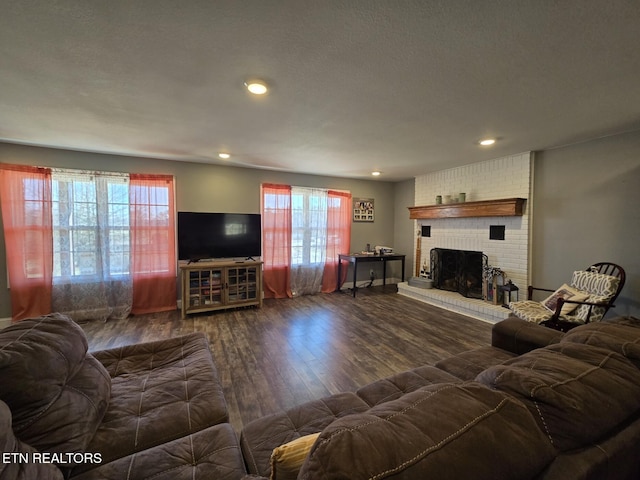 living room featuring dark wood-type flooring and a fireplace