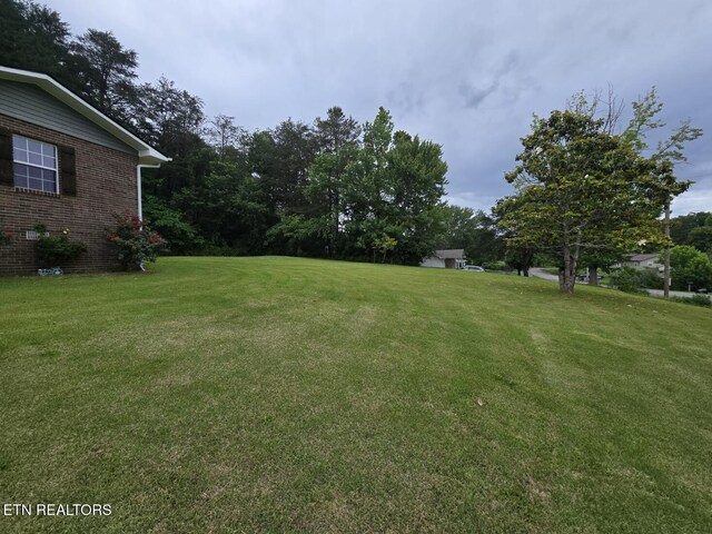 264 Oak St, Helenwood, TN 37755 - photo 44