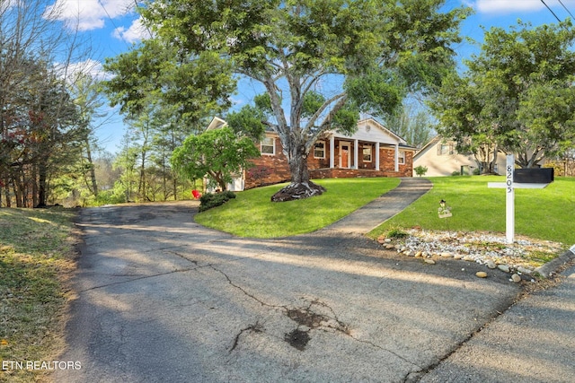 view of front of home with a front lawn