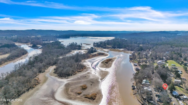 drone / aerial view with a water and mountain view