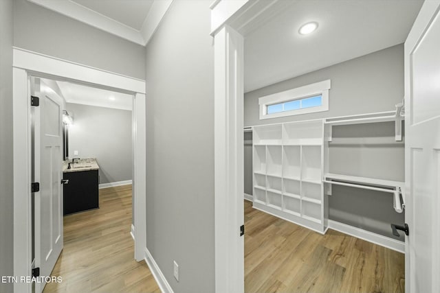 walk in closet featuring sink and light hardwood / wood-style flooring