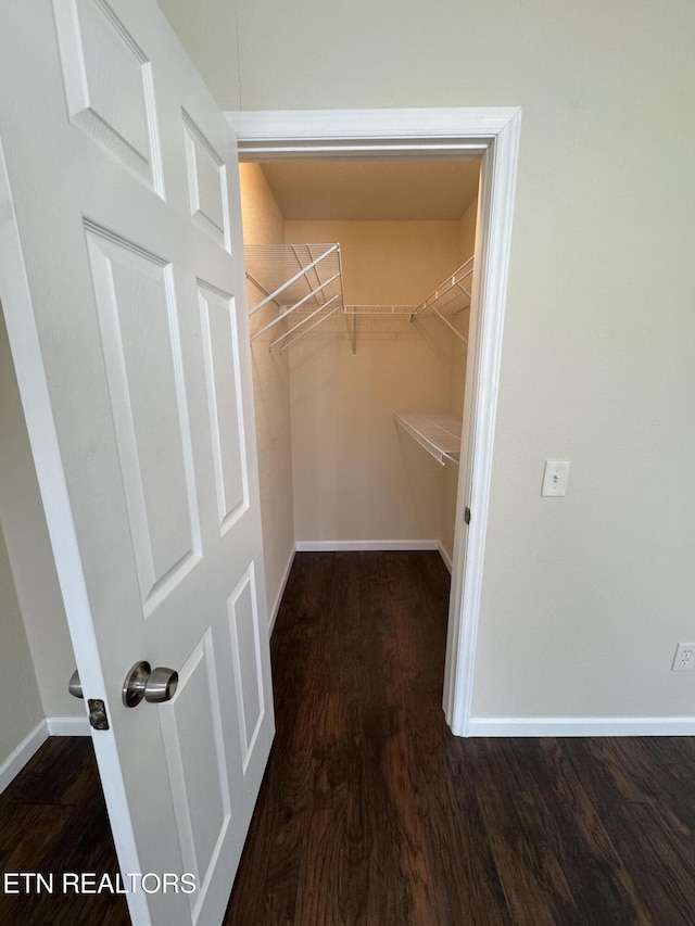 spacious closet featuring dark wood-type flooring