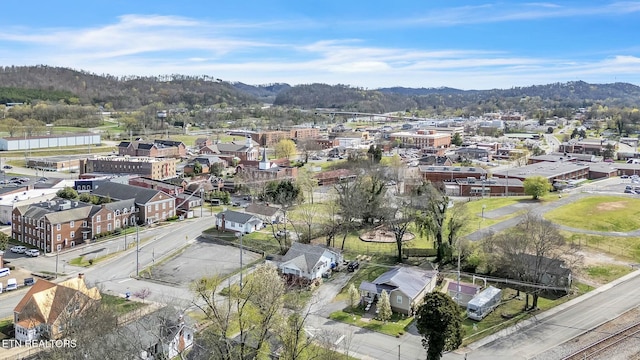 drone / aerial view