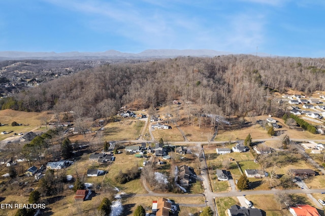 bird's eye view featuring a mountain view