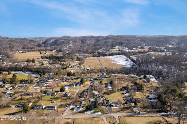 birds eye view of property featuring a mountain view