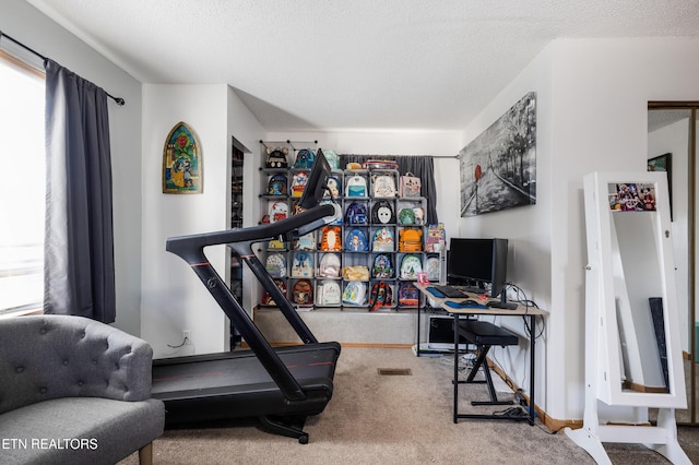 workout area with plenty of natural light, a textured ceiling, and carpet flooring