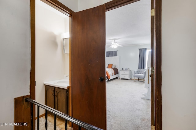 corridor featuring light colored carpet and sink