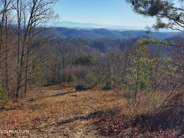 Poor Vly, Rutledge TN 37861 LAND for sale