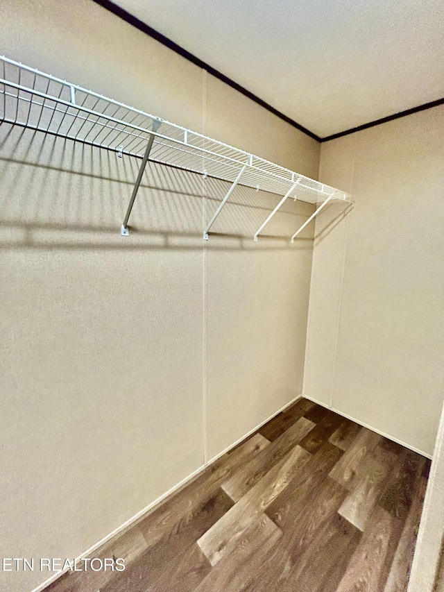 spacious closet with hardwood / wood-style flooring