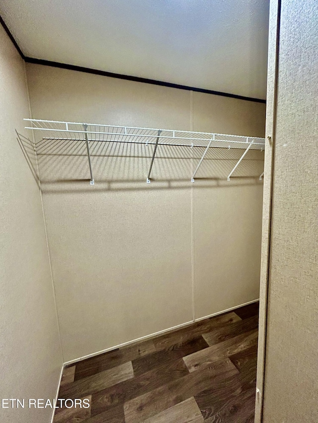 walk in closet featuring wood-type flooring