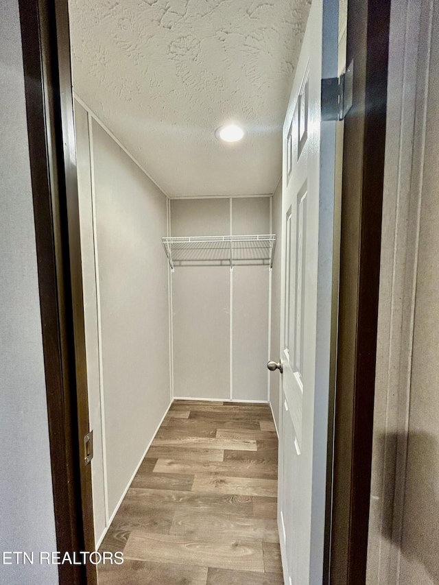 spacious closet featuring light wood-type flooring