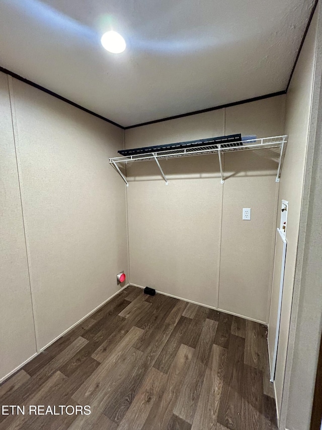 laundry area with dark hardwood / wood-style floors