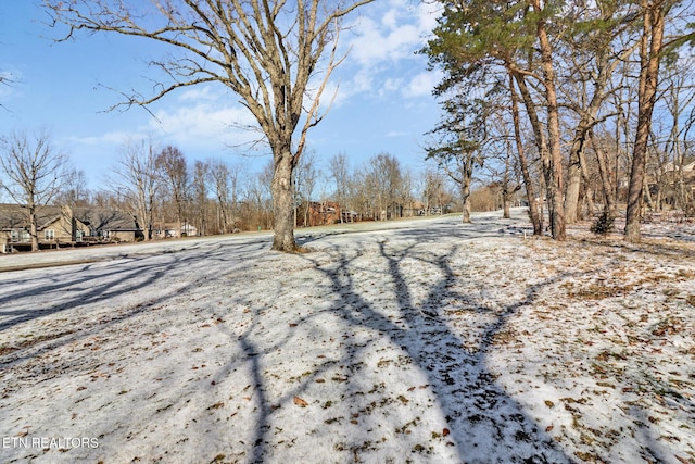 view of snowy yard