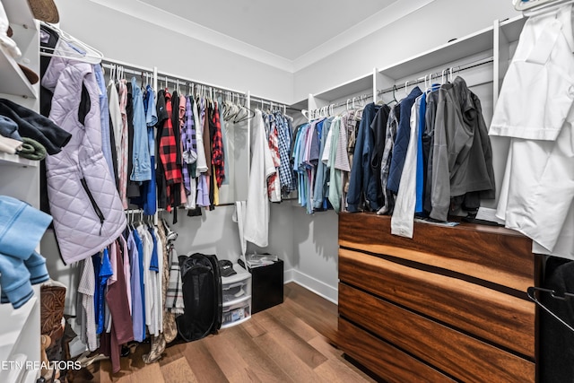 spacious closet featuring hardwood / wood-style flooring