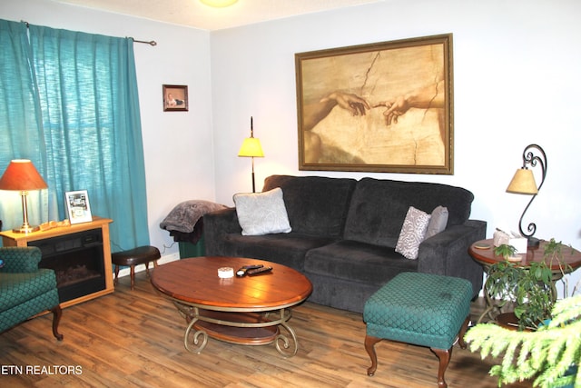 living room featuring hardwood / wood-style floors