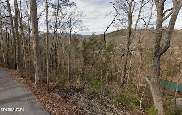 Shady Grove Ln, Gatlinburg TN, 37738 land for sale